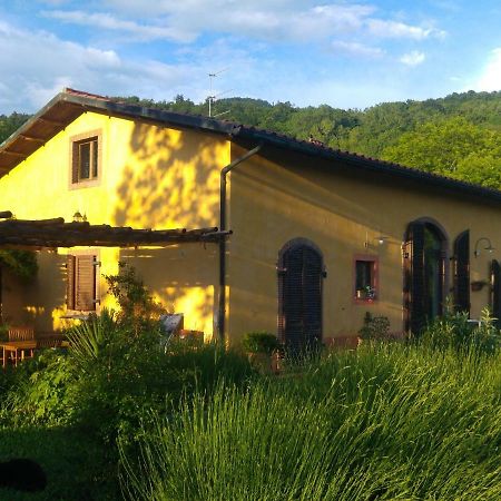 Podere Di Maggio - Casa Della Nonna Санта-Фьора Экстерьер фото