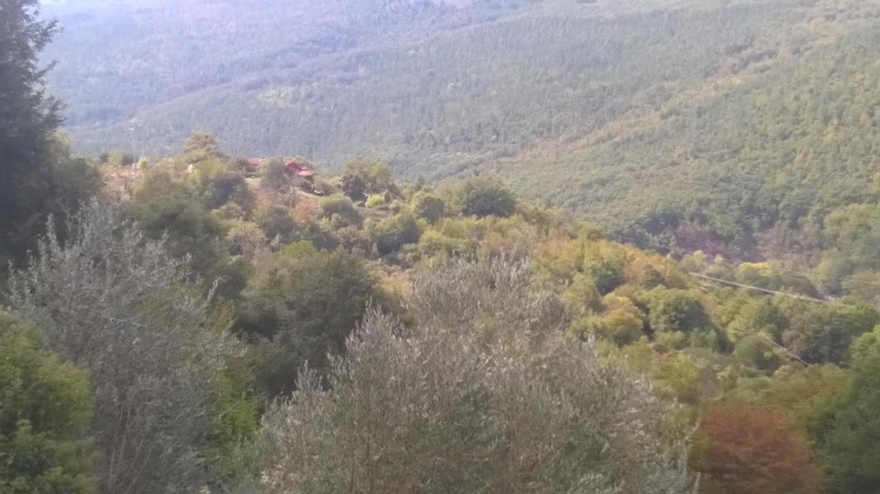 Podere Di Maggio - Casa Della Nonna Санта-Фьора Экстерьер фото