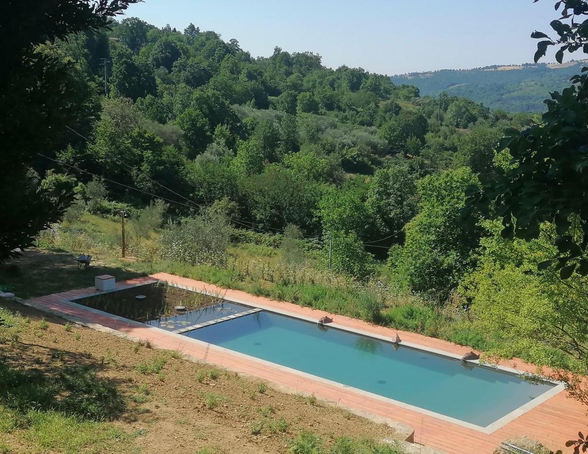 Podere Di Maggio - Casa Della Nonna Санта-Фьора Экстерьер фото