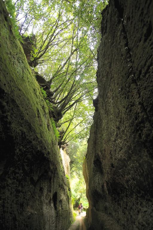Podere Di Maggio - Casa Della Nonna Санта-Фьора Экстерьер фото