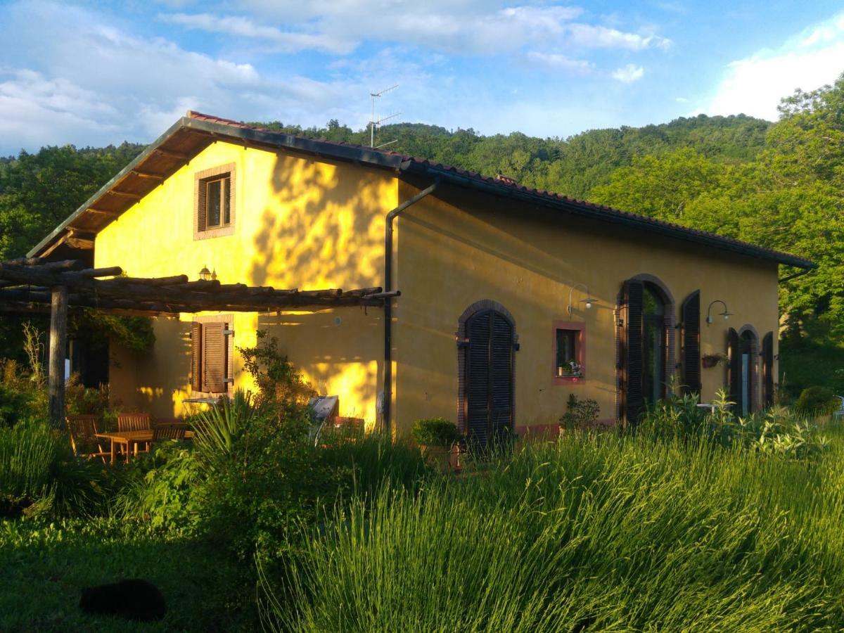 Podere Di Maggio - Casa Della Nonna Санта-Фьора Экстерьер фото