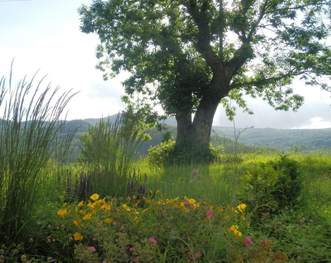 Podere Di Maggio - Casa Della Nonna Санта-Фьора Экстерьер фото